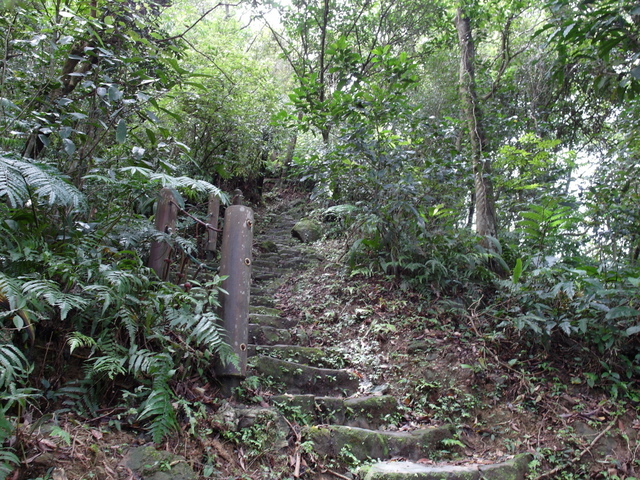 新北市 土城區 承天禪寺、天上山 (56).JPG