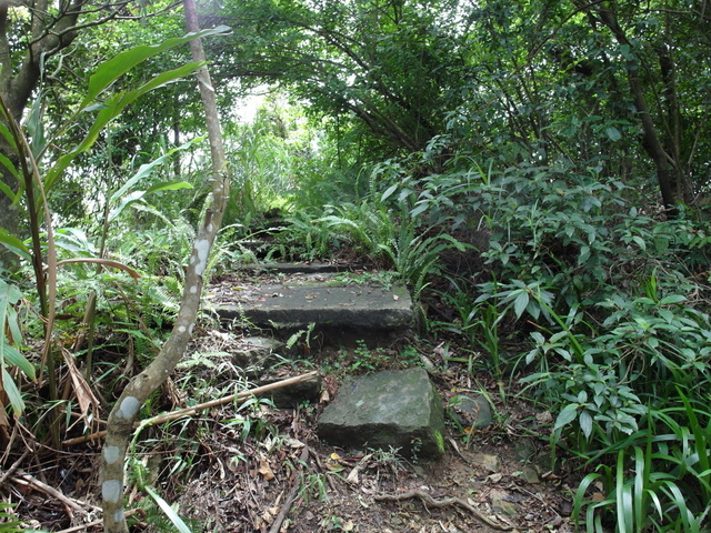 新北市 土城區 承天禪寺、天上山 (63).JPG