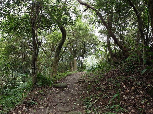 新北市 土城區 承天禪寺、天上山 (65).JPG