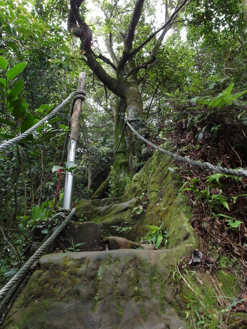 新北市 土城區 承天禪寺、天上山 (67).JPG