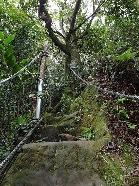 新北市 土城區 承天禪寺、天上山 (67).JPG