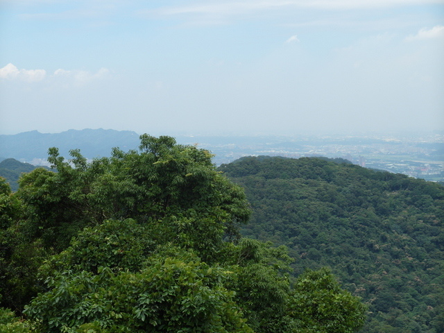 新北市 土城區 承天禪寺、天上山 (72).JPG