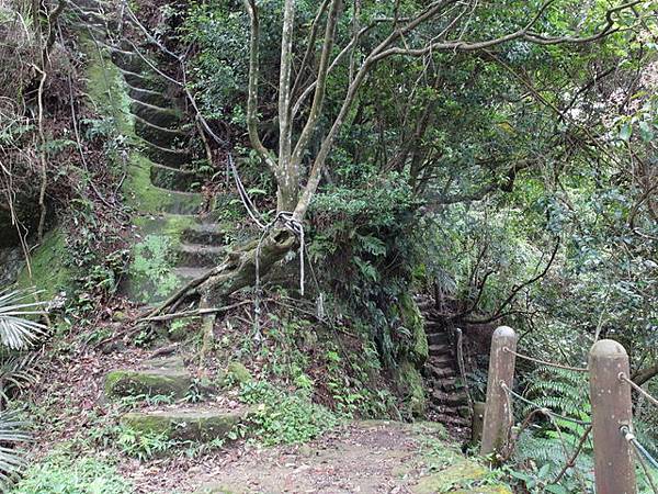 新北市 土城區 承天禪寺、天上山 (99).JPG