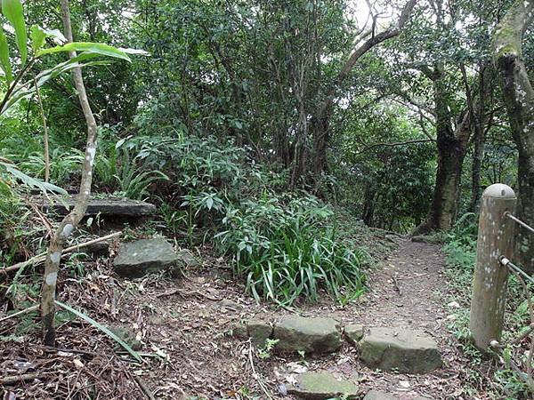 新北市 土城區 承天禪寺、天上山 (100).JPG