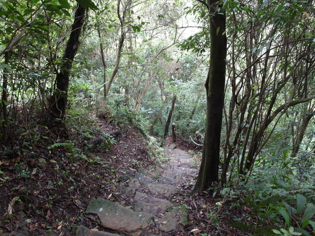 新北市 土城區 承天禪寺、天上山 (103).JPG