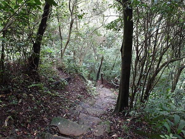 新北市 土城區 承天禪寺、天上山 (103).JPG