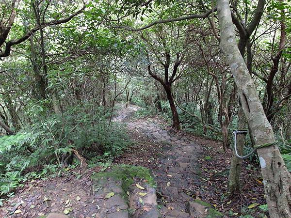 新北市 土城區 承天禪寺、天上山 (104).JPG