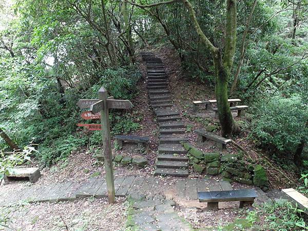 新北市 土城區 承天禪寺、天上山 (106).JPG