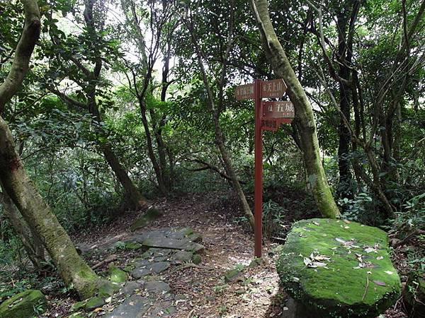 新北市 土城區 承天禪寺、天上山 (105).JPG