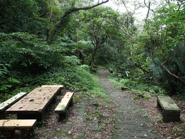 新北市 土城區 承天禪寺、天上山 (107).JPG