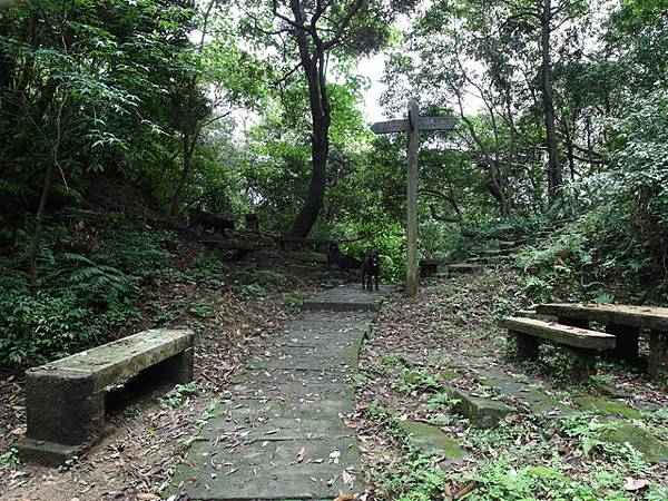 新北市 土城區 承天禪寺、天上山 (108).JPG