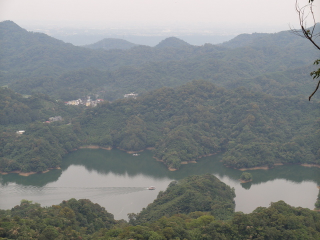 桃園縣 復興鄉 枕頭山 (38).jpg