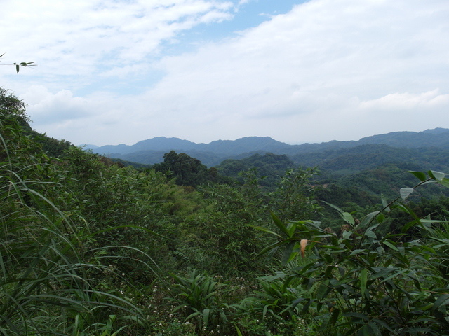 桃園縣 復興鄉 枕頭山 (94).jpg