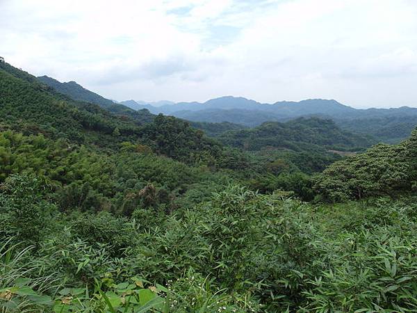 桃園縣 復興鄉 枕頭山 (100).jpg