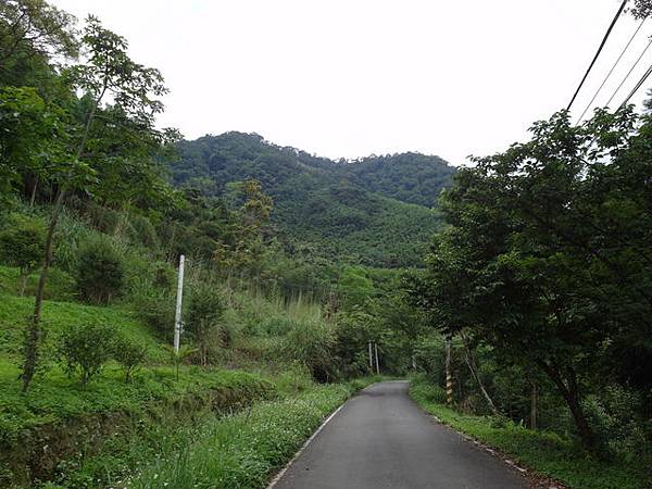 桃園縣 復興鄉 枕頭山 (128).jpg