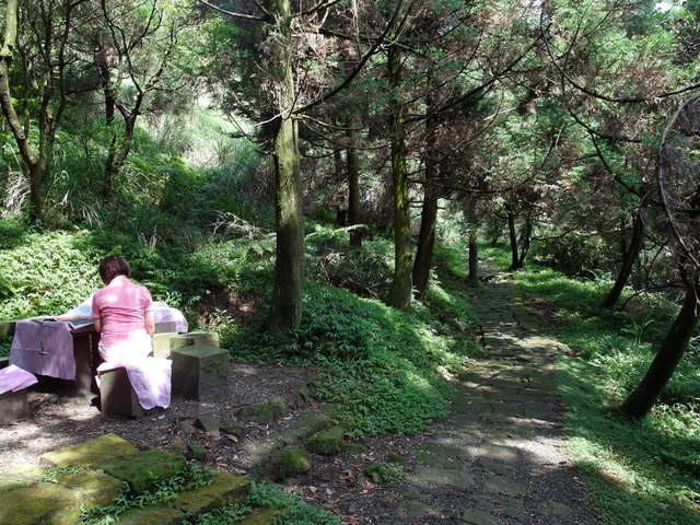 七星山東峰、七星公園、夢幻湖 (22).JPG