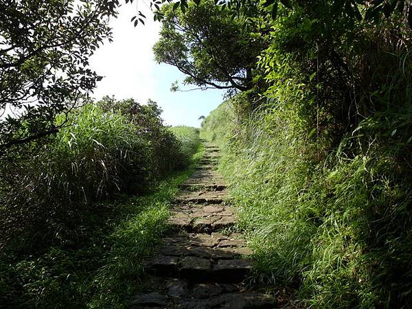 七星山東峰、七星公園、夢幻湖 (30).JPG