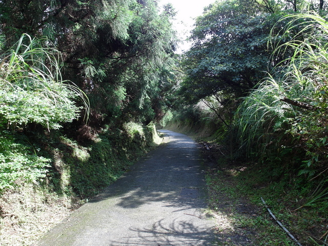 七星山東峰、七星公園、夢幻湖 (36).JPG