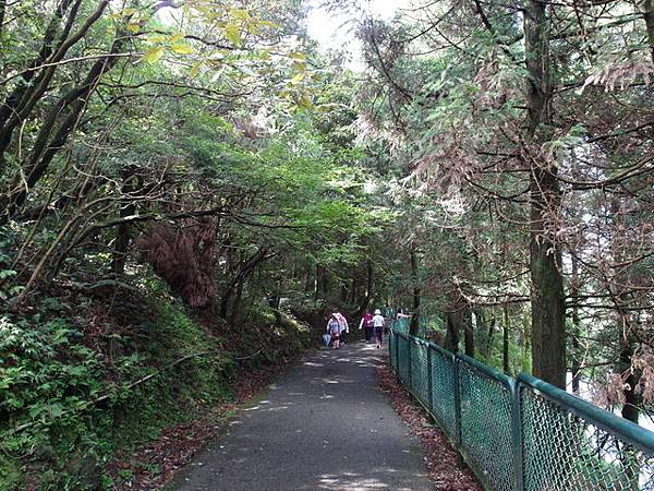 七星山東峰、七星公園、夢幻湖 (38).JPG