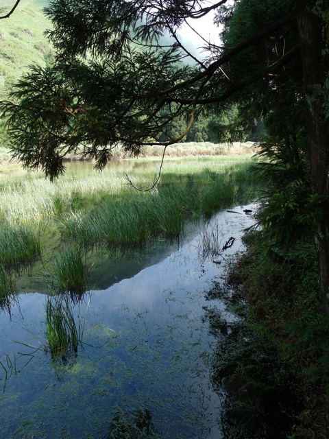 七星山東峰、七星公園、夢幻湖 (46).JPG