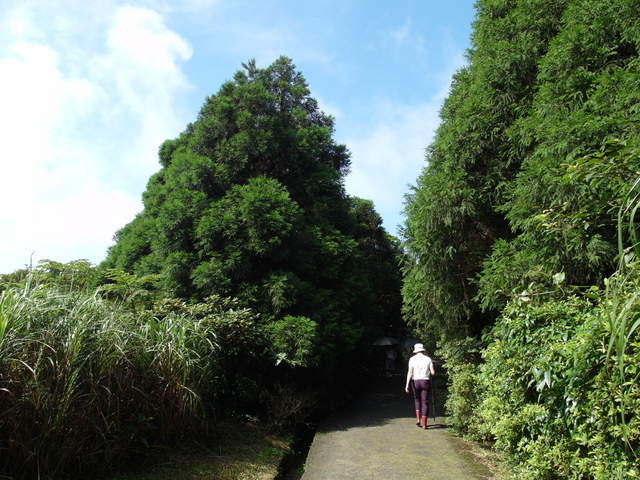 七星山東峰、七星公園、夢幻湖 (49).JPG