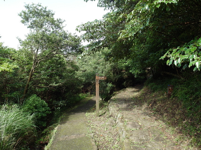 七星山東峰、七星公園、夢幻湖 (68).JPG