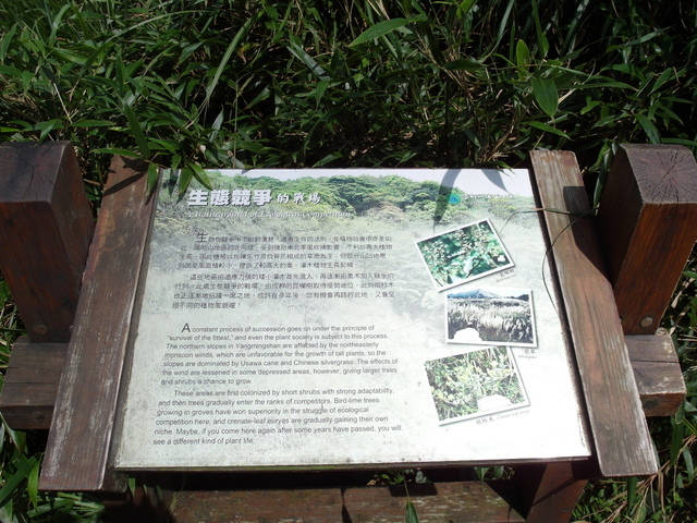 七星山東峰、七星公園、夢幻湖 (83).JPG