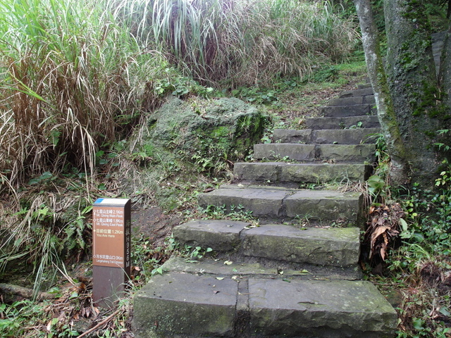 七星山東峰、七星公園、夢幻湖 (86).JPG