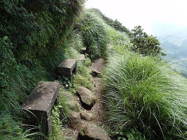 七星山東峰、七星公園、夢幻湖 (98).JPG