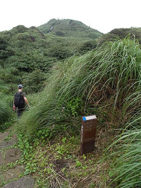 七星山東峰、七星公園、夢幻湖 (106).JPG