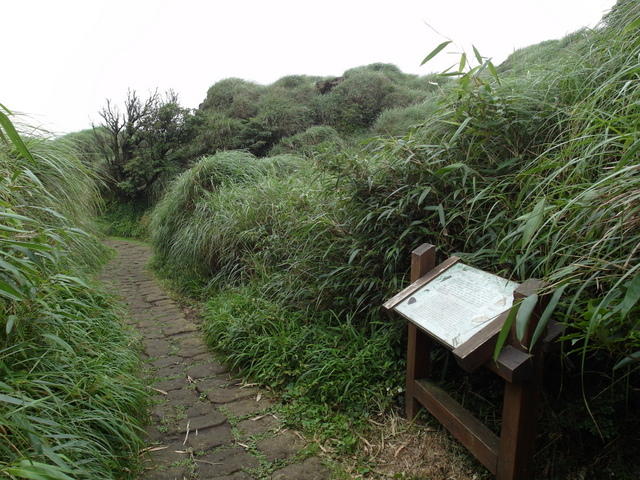 七星山東峰、七星公園、夢幻湖 (134).JPG