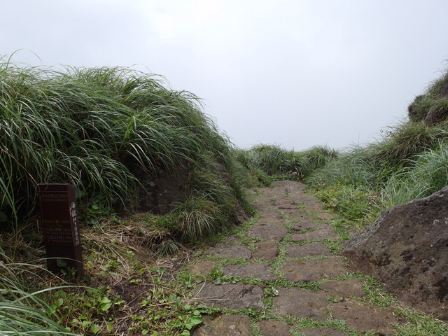 七星山東峰、七星公園、夢幻湖 (135).JPG