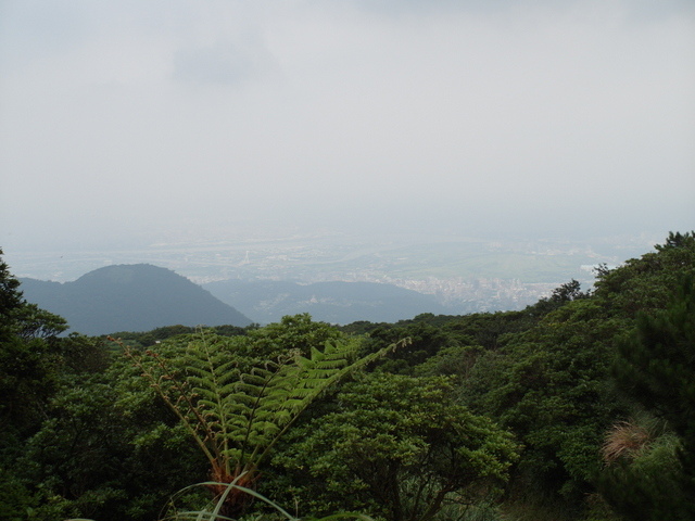 七星山東峰、七星公園、夢幻湖 (156).JPG