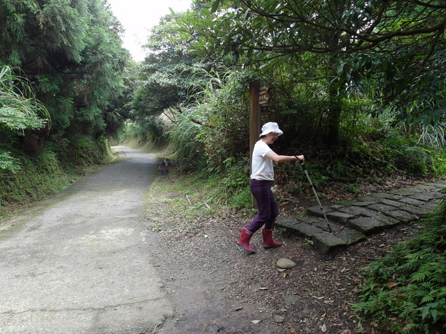 七星山東峰、七星公園、夢幻湖 (174).JPG