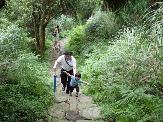 七星山東峰、七星公園、夢幻湖 (181).JPG