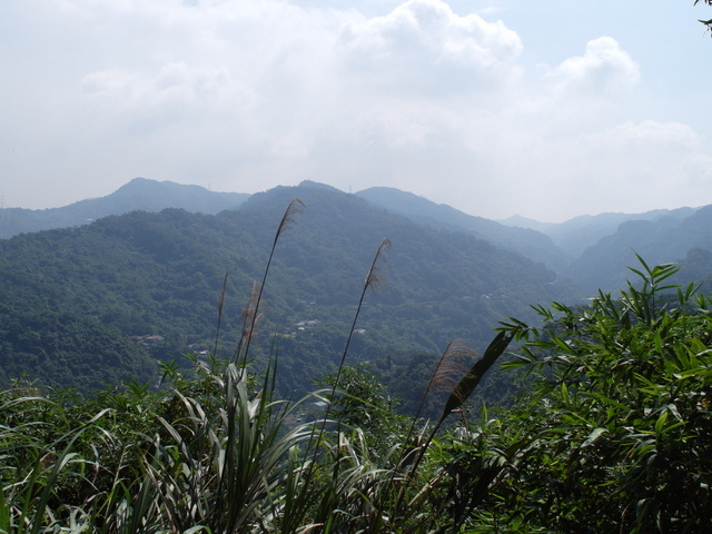 大崎頭山、直潭山 (22).JPG