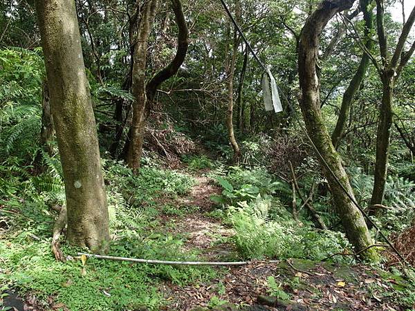 大崎頭山、直潭山 (30).JPG