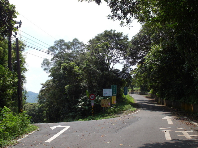 大崎頭山、直潭山 (71).JPG