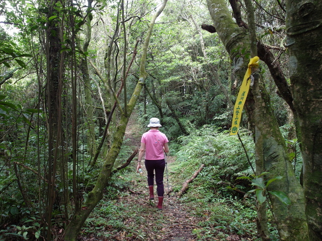 大崎頭山、直潭山 (84).JPG