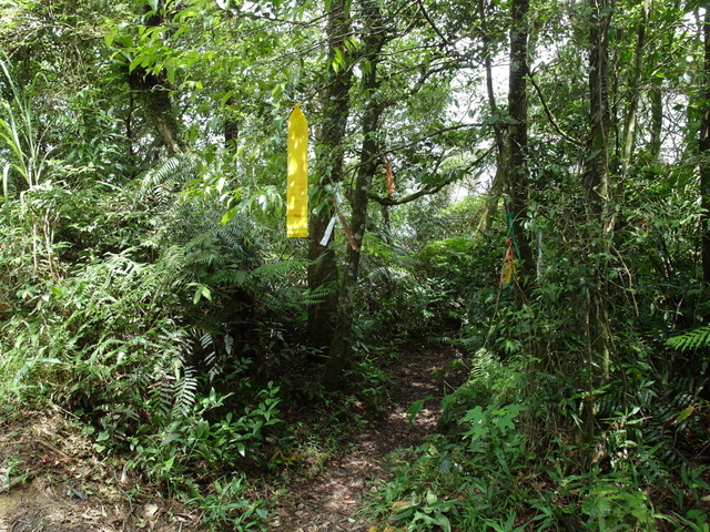 大崎頭山、直潭山 (93).JPG