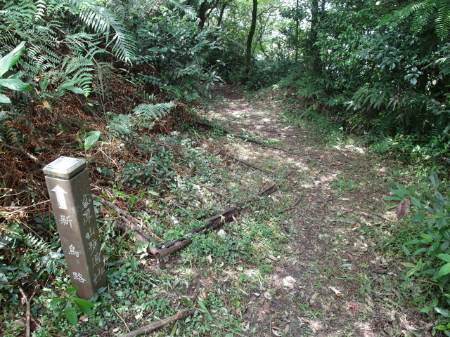 大崎頭山、直潭山 (101).JPG