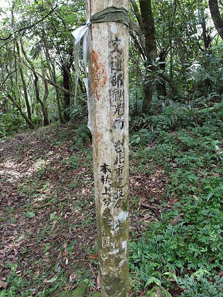 大崎頭山、直潭山 (117).JPG