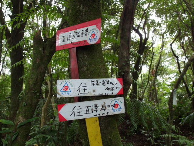 大崎頭山、直潭山 (126).JPG