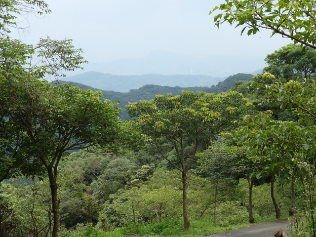 大崎頭山、直潭山 (140).JPG