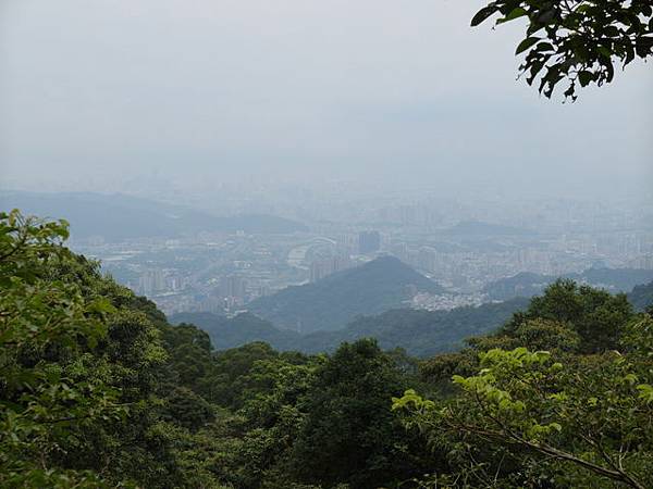 大崎頭山、直潭山 (142).JPG