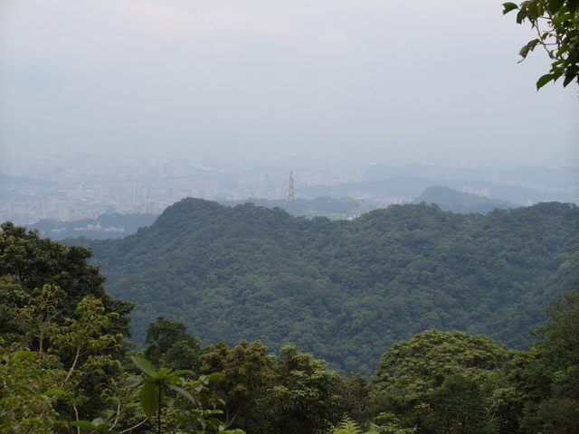 大崎頭山、直潭山 (143).JPG