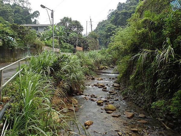 屈尺古道、屈尺山、青獅山 (78).JPG