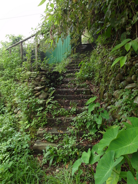 屈尺古道、屈尺山、青獅山 (82).JPG