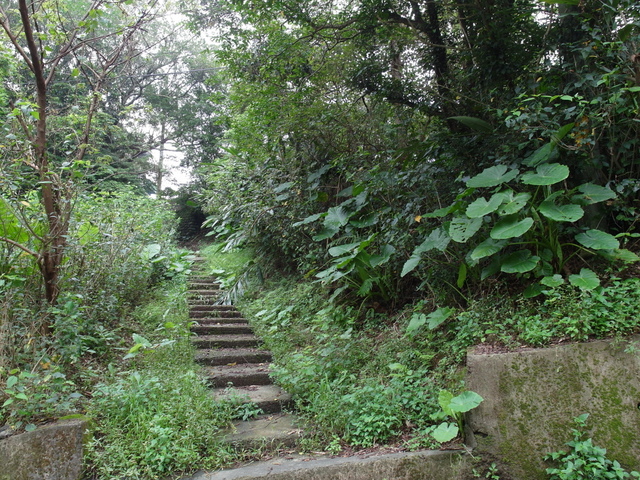 屈尺古道、屈尺山、青獅山 (145).JPG