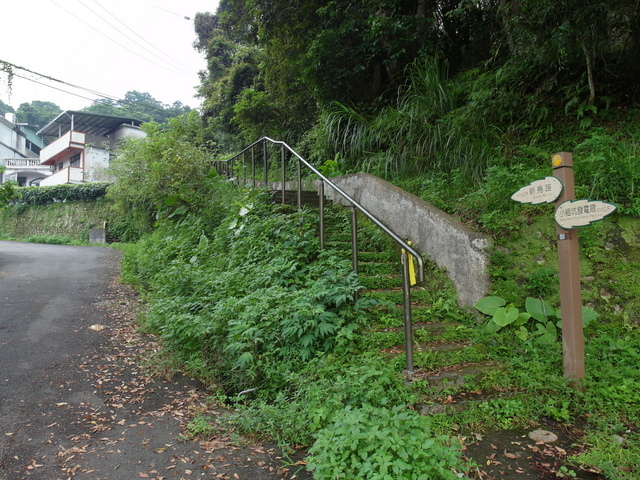 屈尺古道、屈尺山、青獅山 (177).JPG